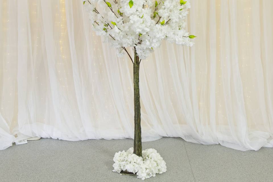 White Blossom Tree