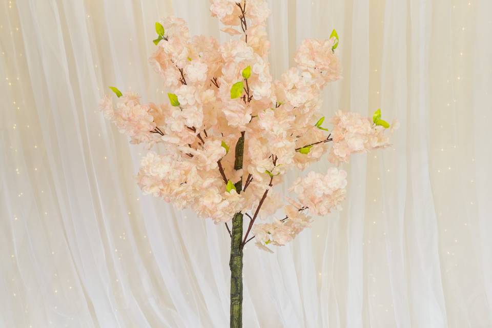 Pink Blossom Tree