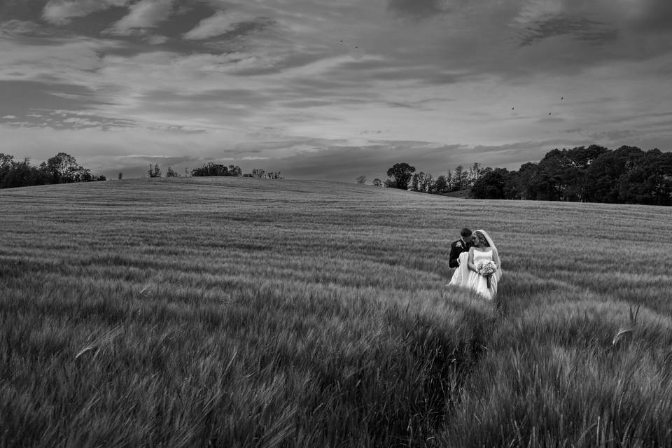 Couple photo in wheat field