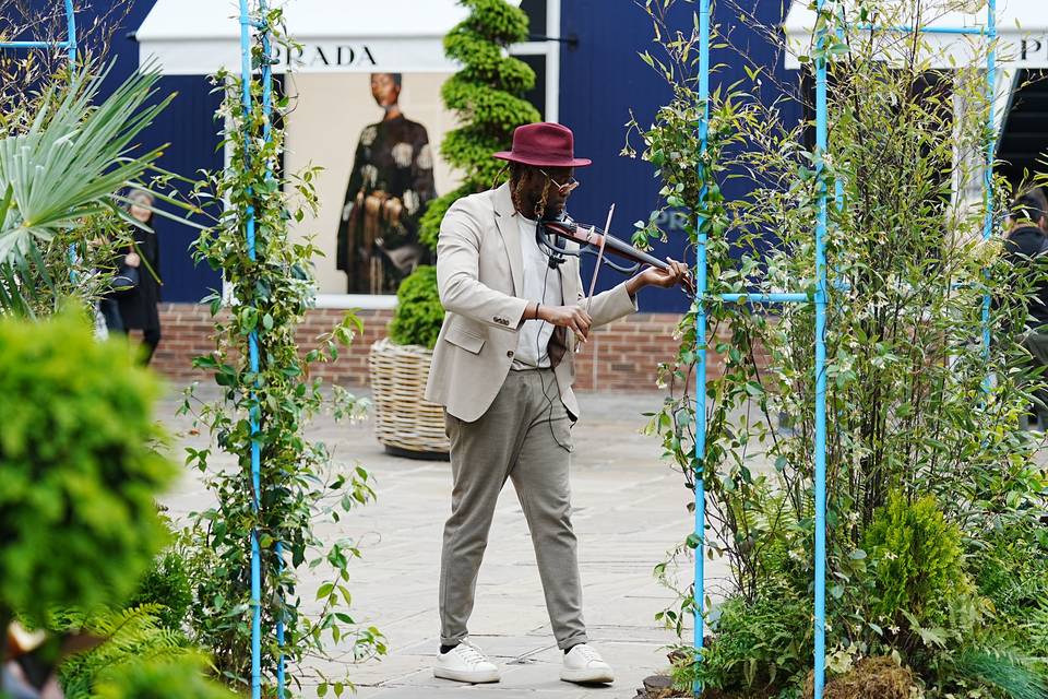 Wedding violinist plays prada