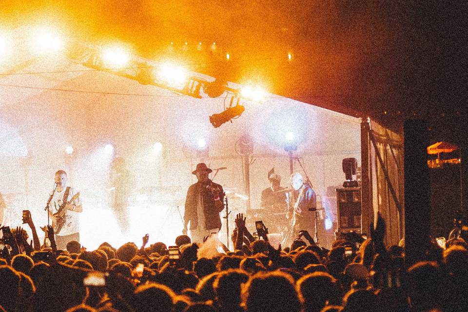 Tom Misch show 4stringsz