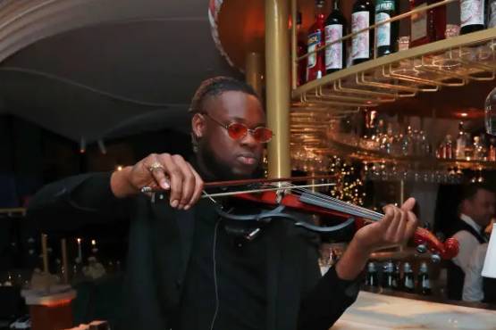 Celebrity wedding violinist