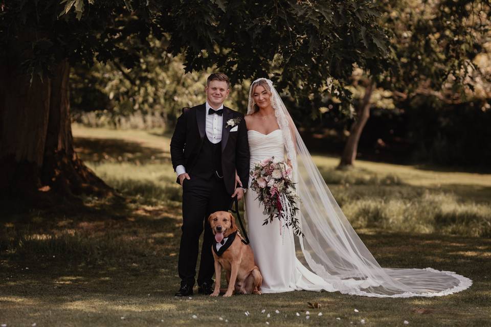 Dog friendly