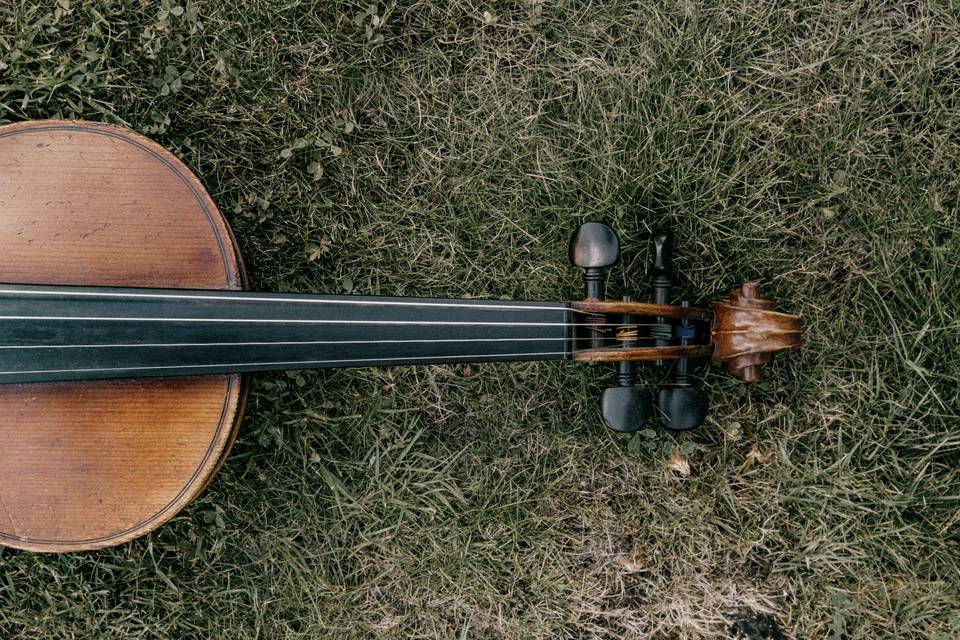 Rowans - Ceilidh Band