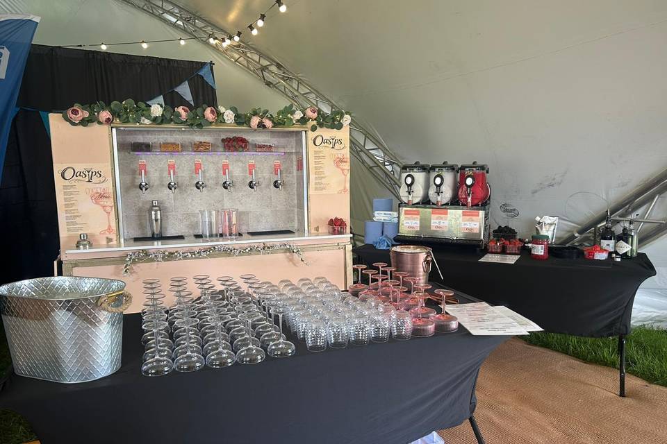 Frozen Cocktails