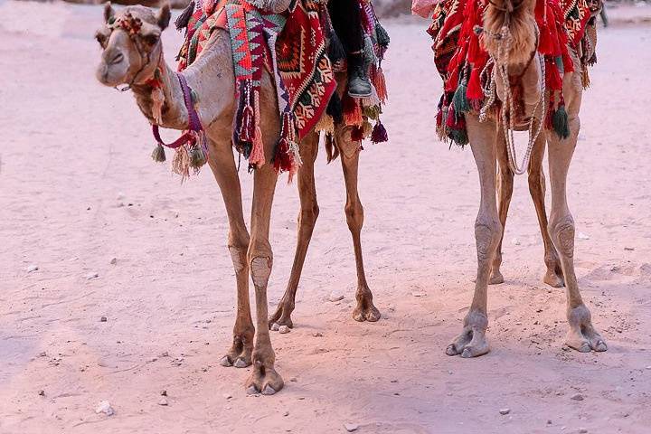 Elopement in Jordania