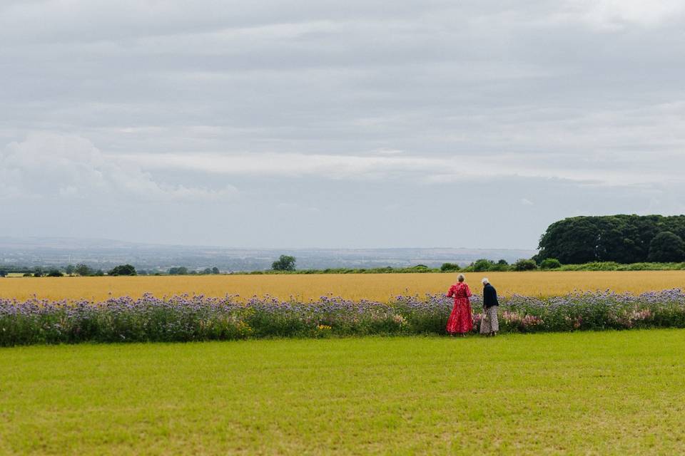 Elizabeth's Fields