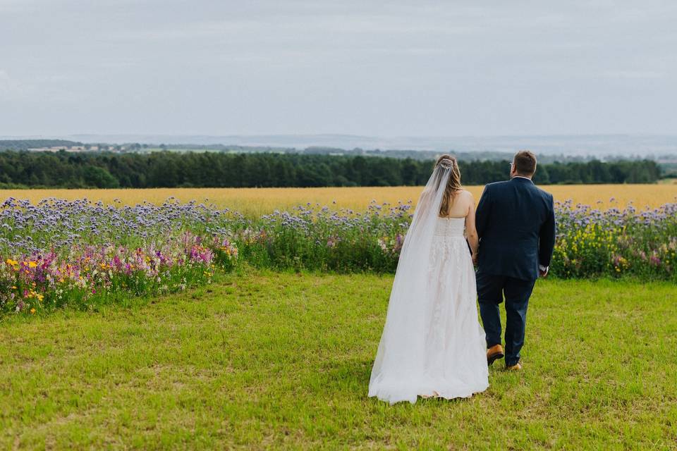 Elizabeth's Fields