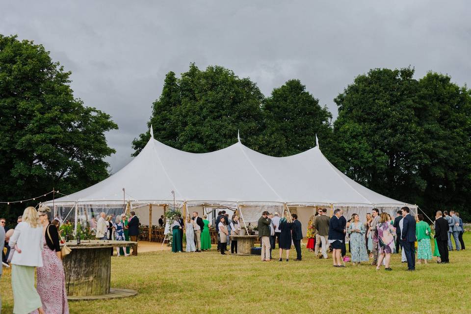Elizabeth's Fields
