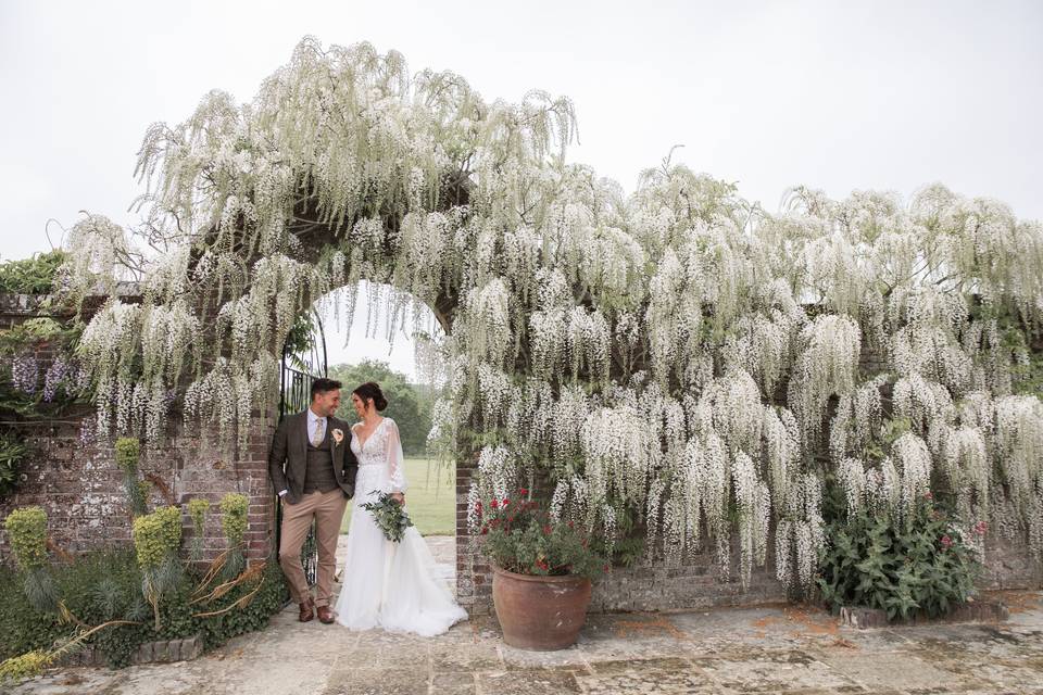 White Wisteria