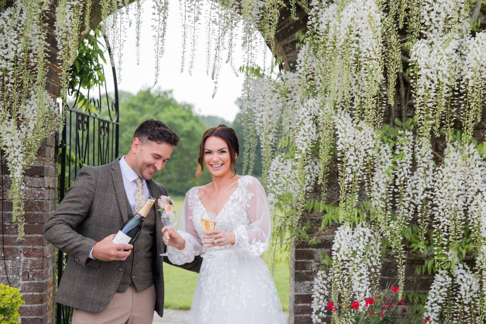 White Wisteria