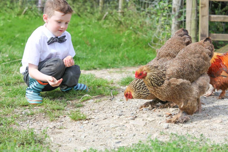 Working farm for weddings