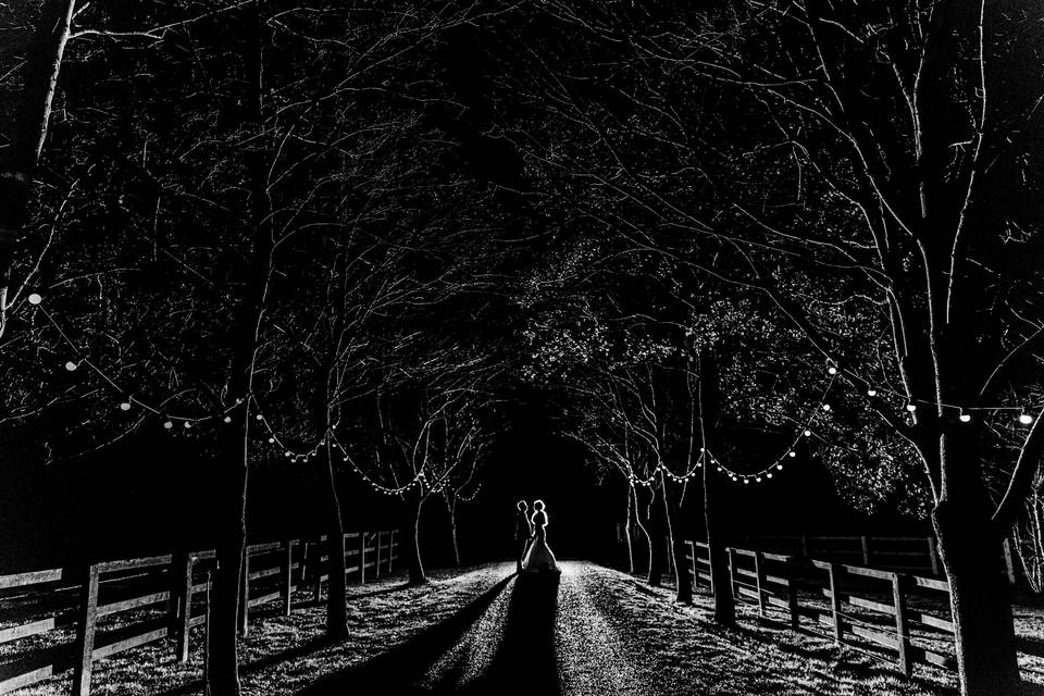 Night portraits at Wood Farm