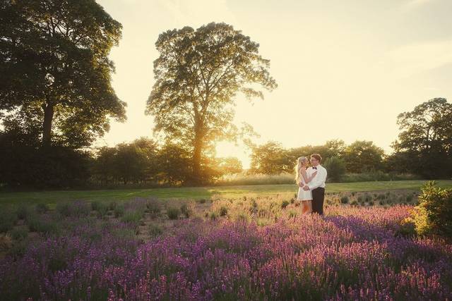 Sparrowtale Photography