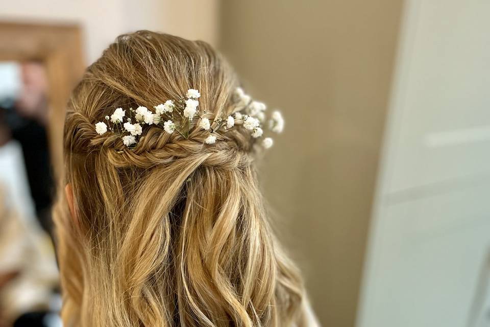 Gypsophila