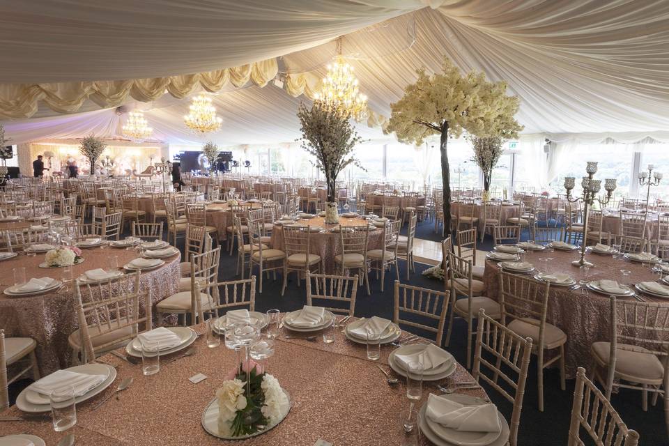 Asian Wedding in The Orchard Marquee