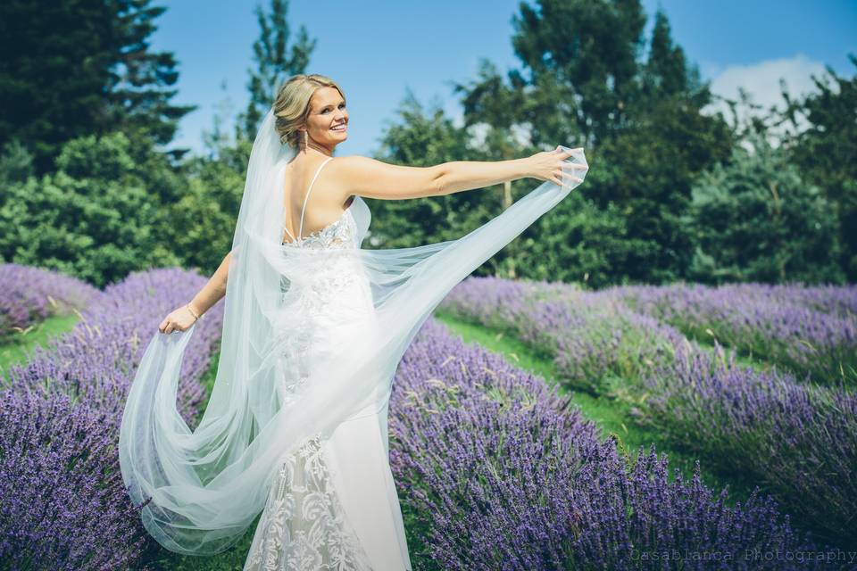 Lavender field