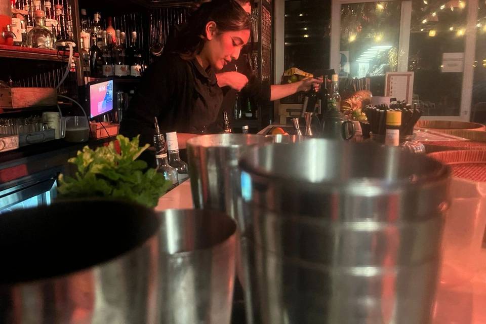 Cocktail Mobile Bar