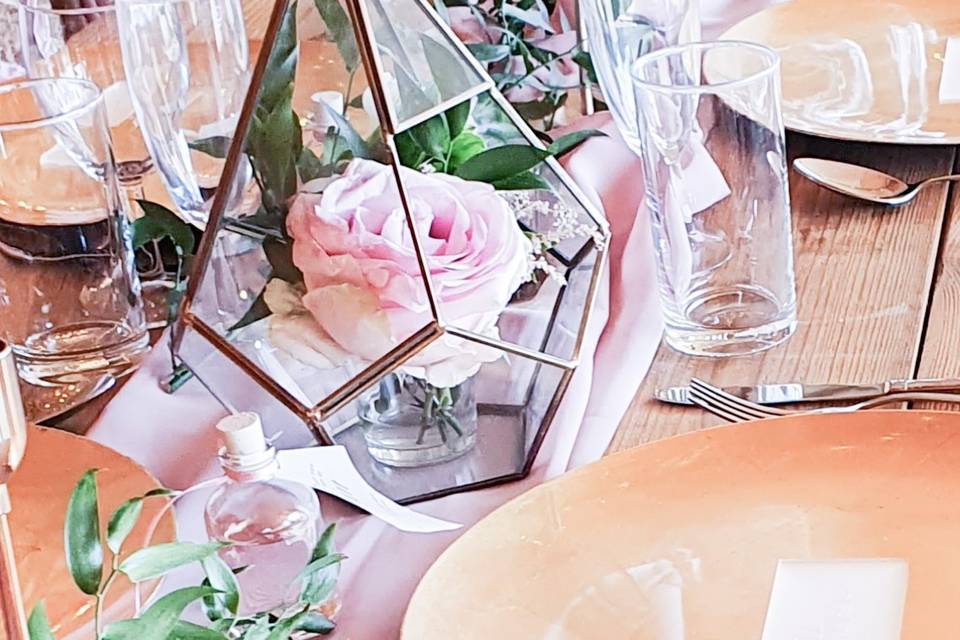 Terrarium Décor