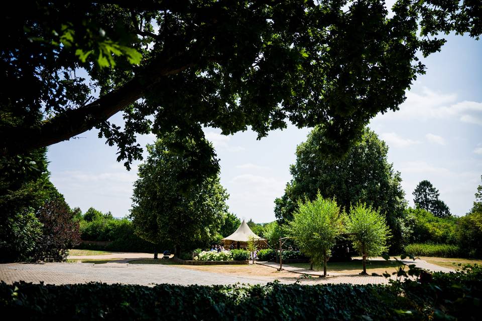 The Paddock