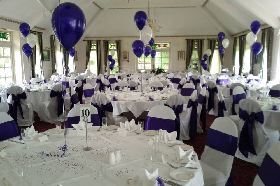 Beautiful chair covers and sas