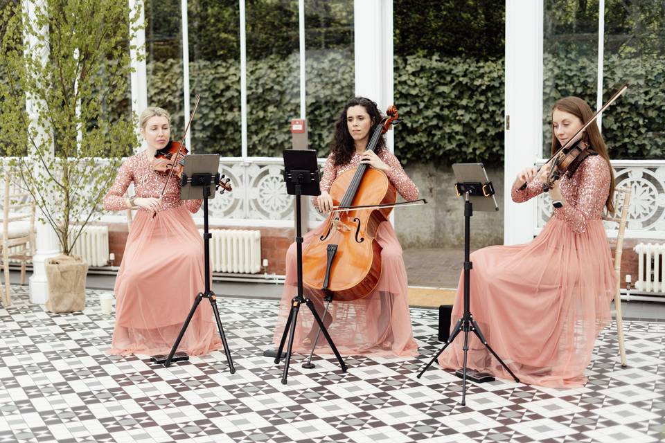 Live music for ceremony