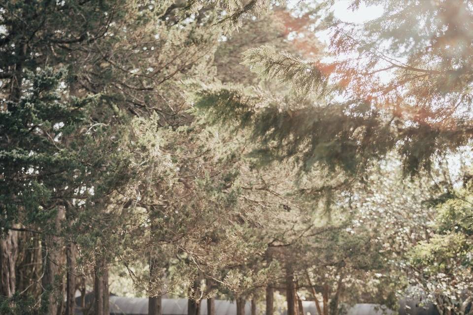 Studio 27 Wedding Films