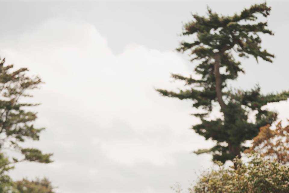 Studio 27 Wedding Films