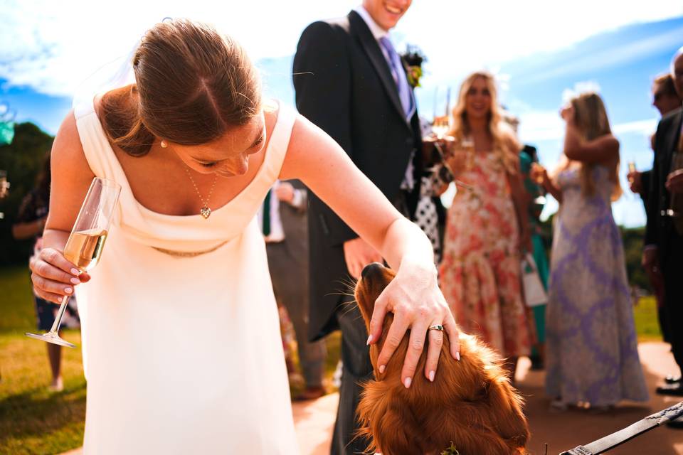 Bride and Dog