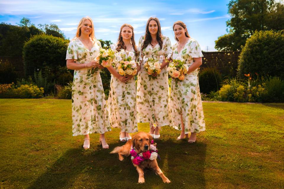 Bridesmaid and dog