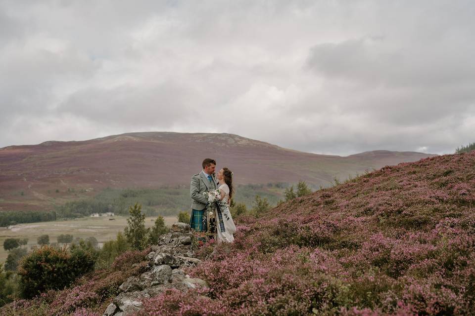 Amongst the heather