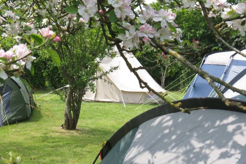 Exmouth Country Lodge Bell Tent