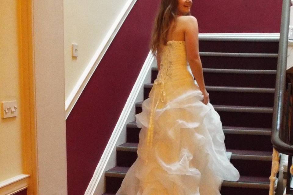 Back of organza ball gown