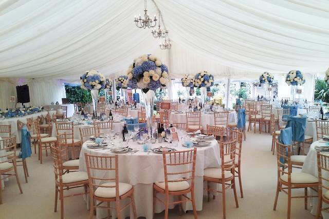 Harlequin Marquee Hire