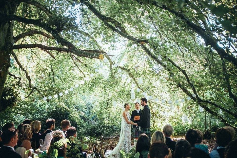 Saying 'I do' under the tree