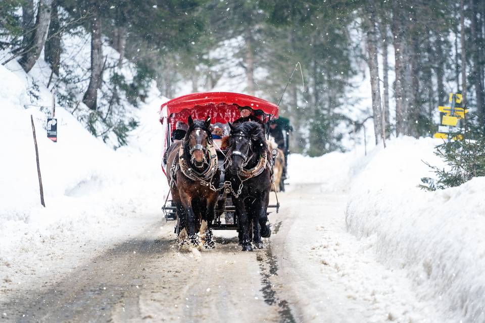 Snowy mountain transfers