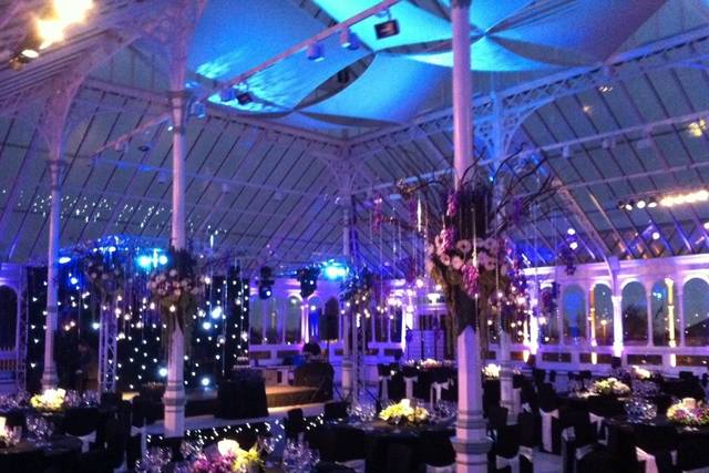 Uplighting & pin spots