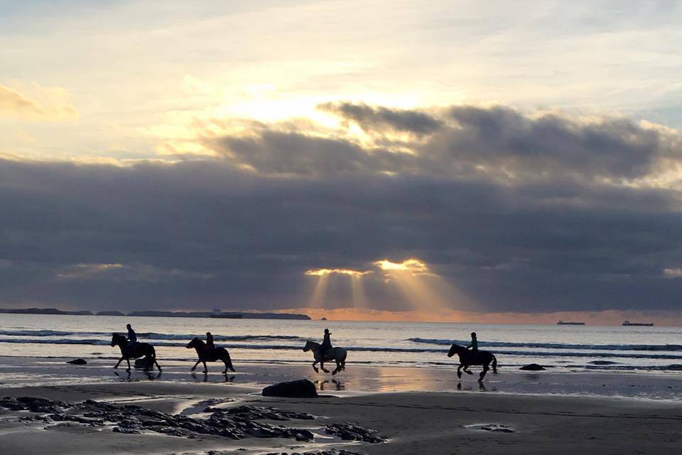 Horses on Druidstone Beach