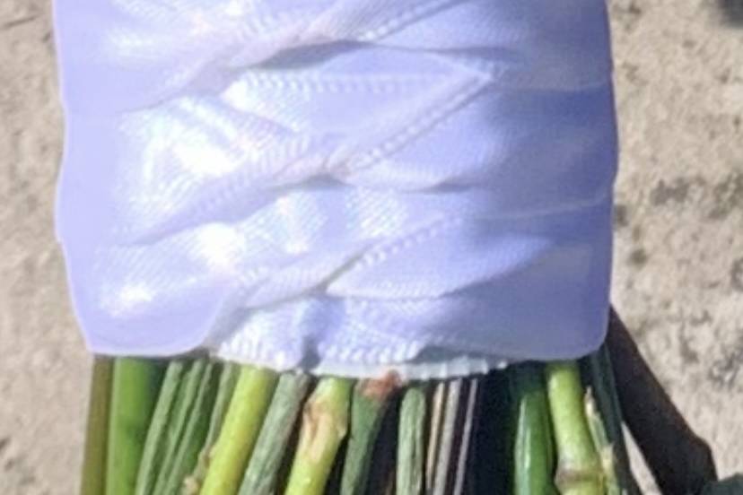 Ribbon detailing