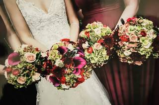Violet Petal Florals