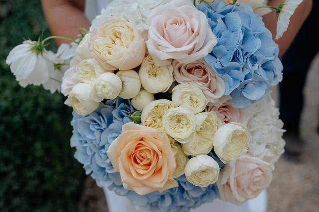 Violet Petal Florals