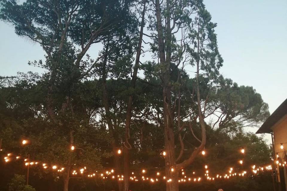 Winery-wedding-tuscan