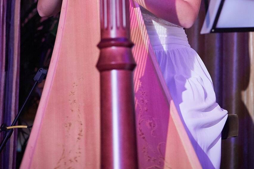 Wedding harpist in Disneyland
