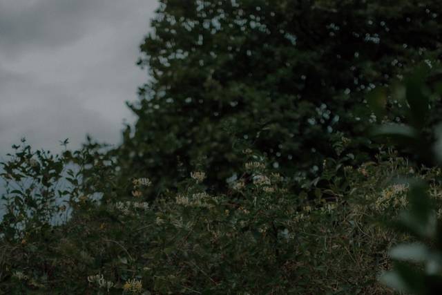 Engagement shoot in Edinburg