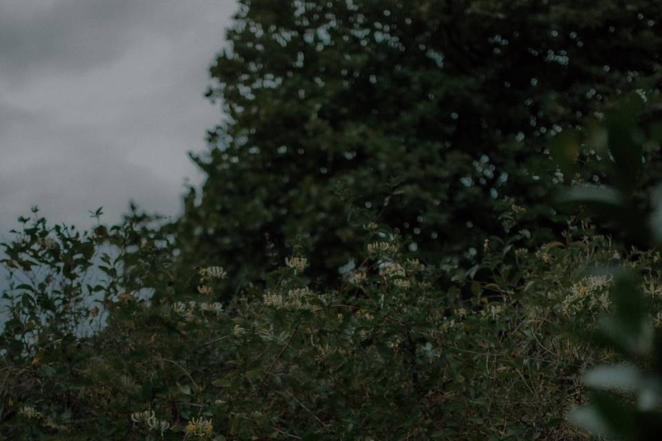 Engagement shoot in Edinburg