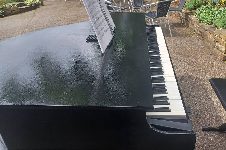 Elegant piano with shell
