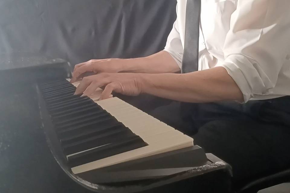 Close up piano and shell
