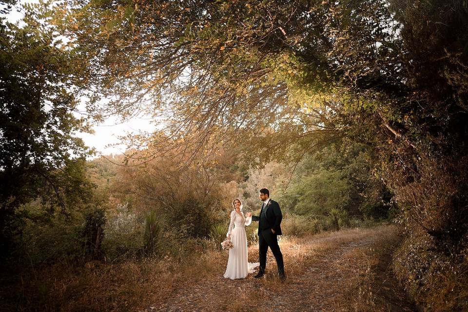 Newlyweds in the park