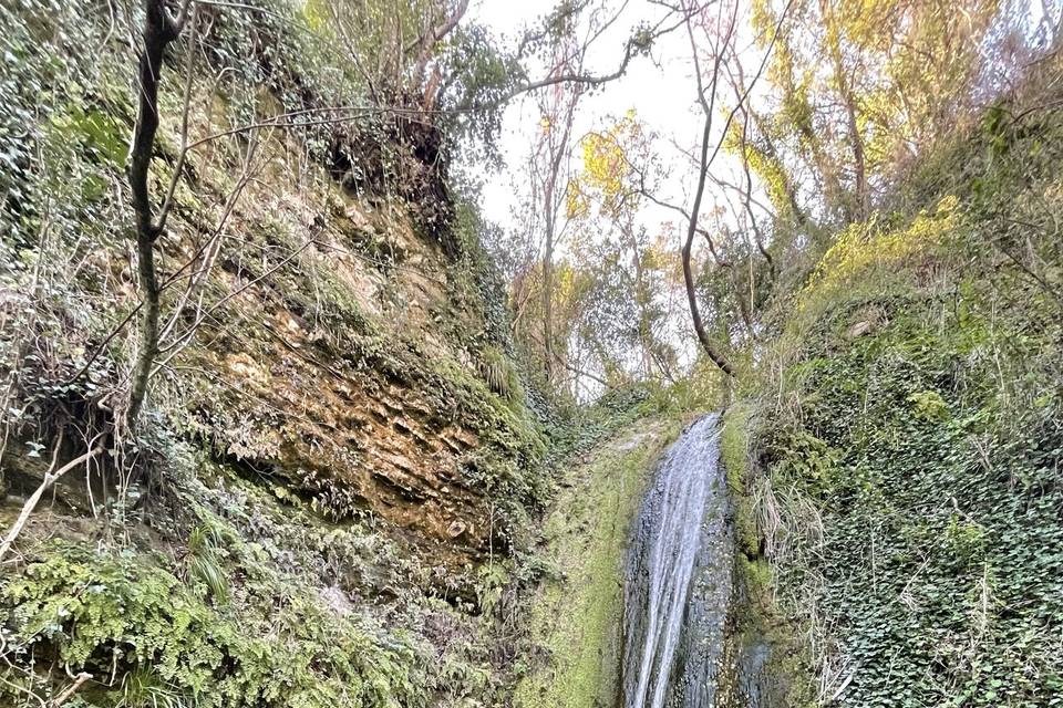 Waterfall in the park