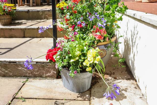 Beer garden steps with potted flowers